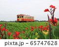 梅雨空を行くいすみ鉄道 65747628