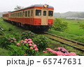 紫陽花とキハ 65747631