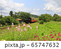 夏の高滝を行く里山トロッコ 65747632