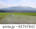 初夏の鳥海山麓を行く特急いなほ 65747642