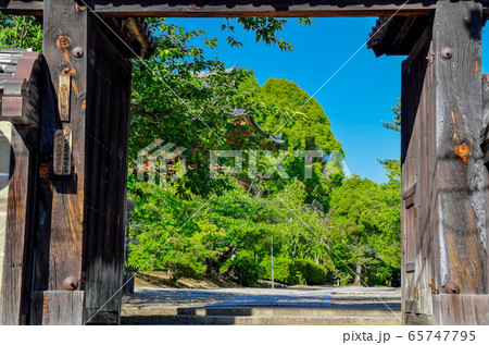 京都の仁和寺 65747795