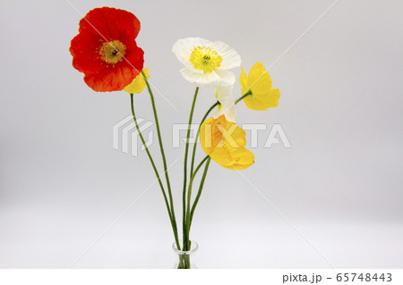 ポピーの写真素材 ポピーの写真素材
