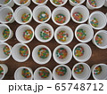 オオハシの餌 65748712