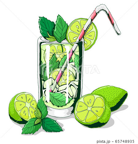 Mojito Vector Hand Drawn Illustration Of Beach のイラスト素材