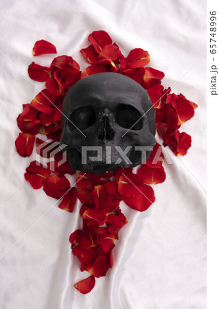 Skull lying in red rose petals top view Skull lying in red rose petals top view 65748996