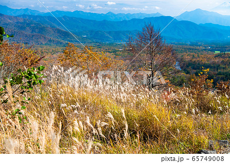 山梨県北杜市 紅葉に染まる美し森 山梨県北杜市 紅葉に染まる美し森 65749008