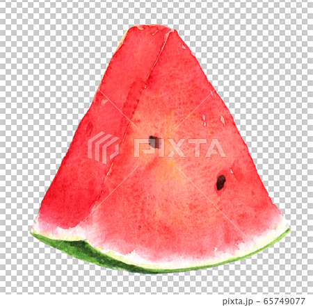 Watercolor watermelon _ 1 piece 65749077