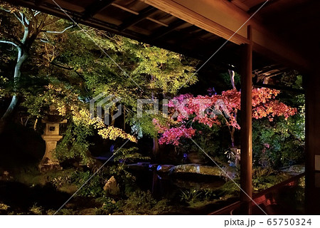 京都・瑠璃光院　秋のライトアップ 65750324