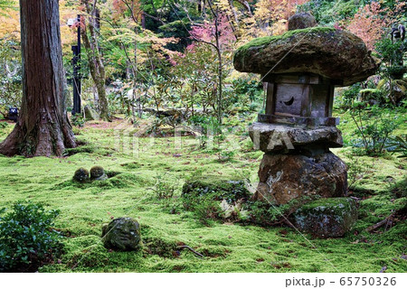 京都大原・秋の三千院 京都大原・秋の三千院 65750326