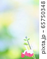 明るい花 65750348