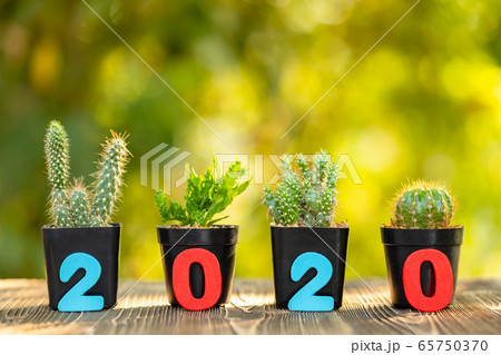 Number 2020 and set of mini cactus in black Number 2020 and set of mini cactus in black 65750370