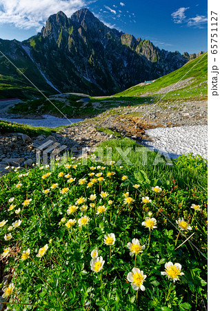 剣沢のチングルマと剱岳の眺め 65751127
