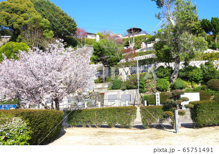 呉海軍墓地の景色 65751491