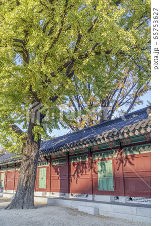 昌徳宮 建築 古建築 65753627