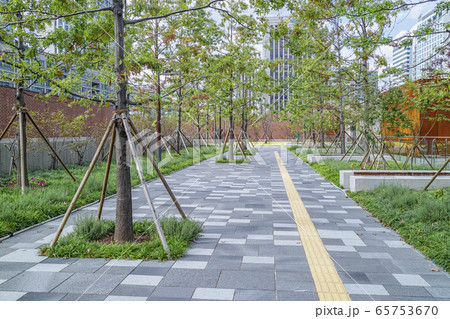 韓国 ガーデン 庭園 65753670