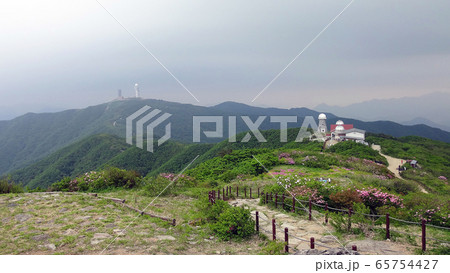 ガーデン 庭園 春 65754427