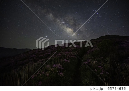 星景 65754636