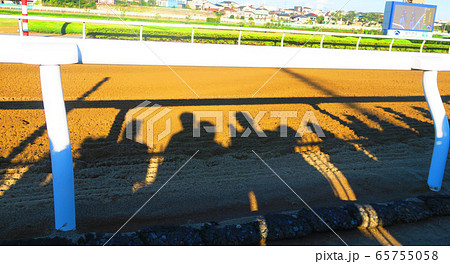 2019年JBC浦和の浦和競馬場の風景 65755058