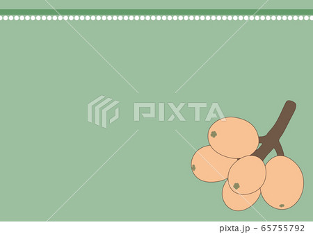 びわの実 65755792