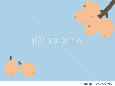 びわの実 65755795