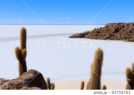 Salar de Uyuni view from Isla Incahuasi Salar de Uyuni view from Isla Incahuasi 65756761