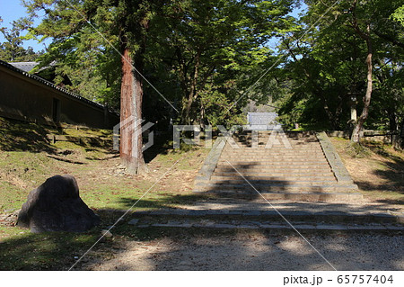 東大寺 東大寺 65757404
