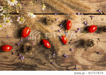 Festive bright autumn background with ripe red dog-rose and dry grass Festive bright autumn background with ripe red dog-rose and dry grass 65757674