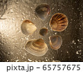 Beautiful Deep Sea background. Shells and in drops of water. 65757675