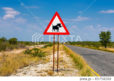 Warthogs crossing warning road sign placed along a road in Namibia 65758209