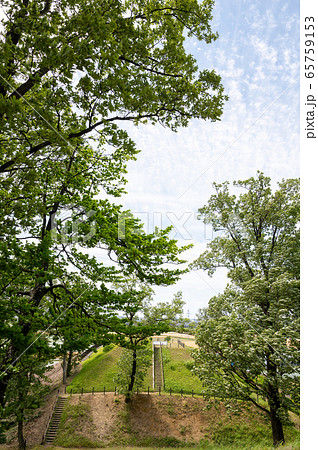 石川県能美市／秋常山古墳公園／2020年5月 65759153
