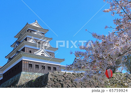 【愛媛県】 桜満開の大洲城 【愛媛県】 桜満開の大洲城 65759924