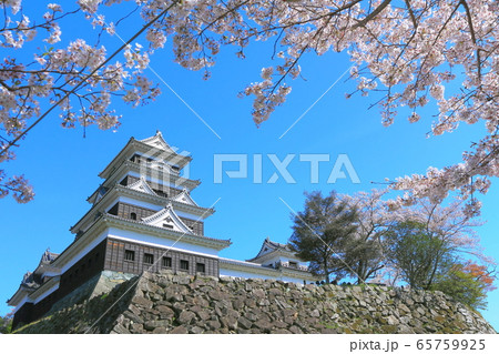 【愛媛県】 桜満開の大洲城 65759925