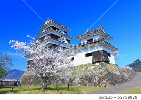 【愛媛県】 桜満開の大洲城 【愛媛県】 桜満開の大洲城 65759929