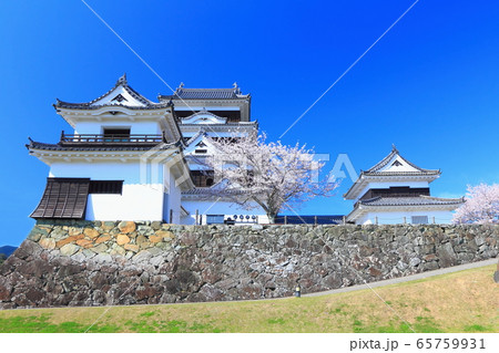 【愛媛県】 桜満開の大洲城 【愛媛県】 桜満開の大洲城 65759931