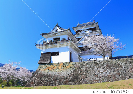 【愛媛県】 桜満開の大洲城 65759932