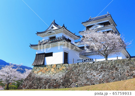 【愛媛県】 桜満開の大洲城 【愛媛県】 桜満開の大洲城 65759933