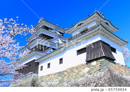 【愛媛県】 桜満開の大洲城 【愛媛県】 桜満開の大洲城 65759934