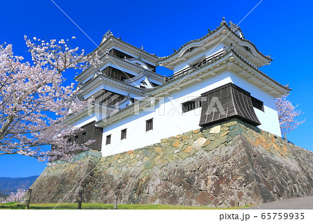 【愛媛県】 桜満開の大洲城 65759935