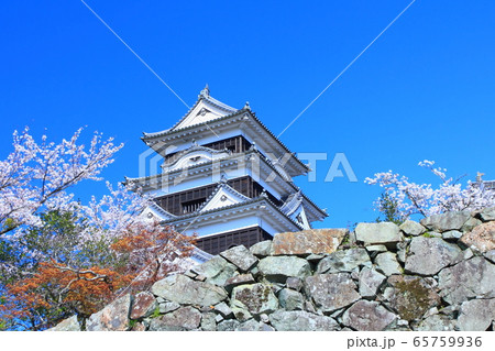 【愛媛県】 桜満開の大洲城 【愛媛県】 桜満開の大洲城 65759936