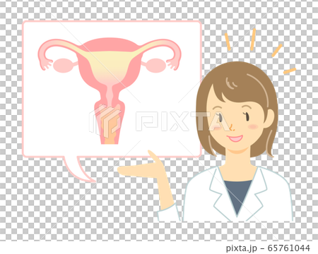 子宮のしくみを説明する白衣の女性のイラスト 65761044