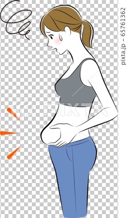 お腹　気になる　脂肪 65761362