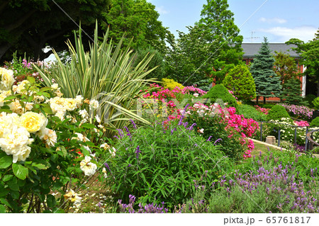 横浜・港の見える丘公園 65761817