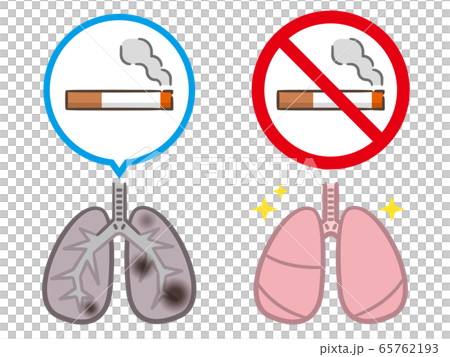 禁煙 タバコ 肺のイラスト素材