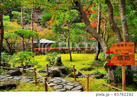 鎌倉 一条恵観山荘庭園散策路と紅葉 鎌倉 一条恵観山荘庭園散策路と紅葉 65762282