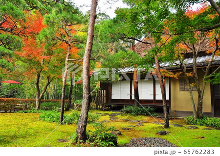 鎌倉市 一条恵観山荘と紅葉庭園 鎌倉市 一条恵観山荘と紅葉庭園 65762283