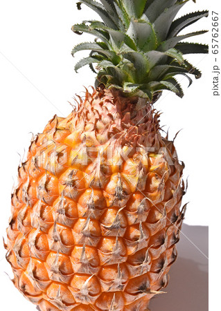 スナックパイン 65762667