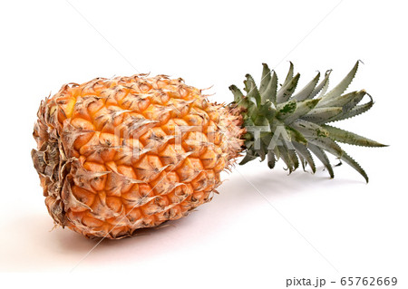 スナックパイン スナックパイン 65762669