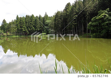 龍王ヶ淵 龍王ヶ淵 65762746