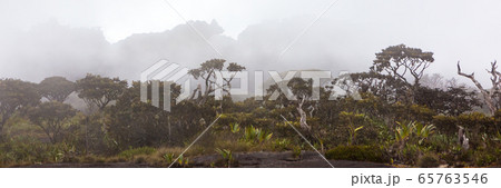 Mount Roraima banner web, Venezuela, South Mount Roraima banner web, Venezuela, South 65763546