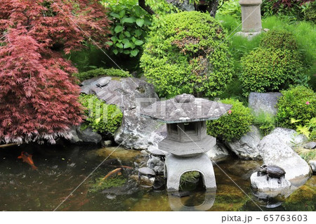 おふさ観音のバラ おふさ観音のバラ 65763603